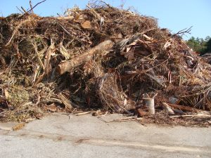 Green Waste Removal Townsville Floods