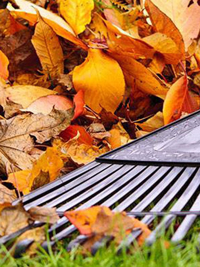 Garden Clean Up Services - Townsville Tidy Bags